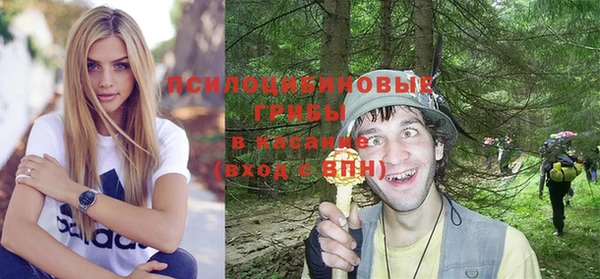 первитин Балахна