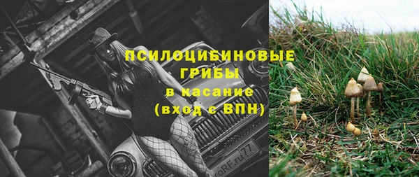 не бодяженный Арсеньев