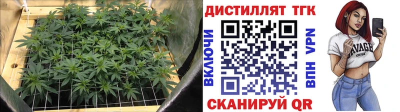 мега как зайти  Весьегонск  ТГК Wax 