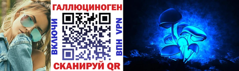 где купить наркоту  Весьегонск  Псилоцибиновые грибы мухоморы 